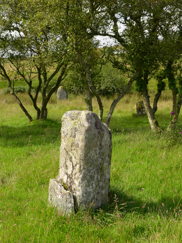 Guidebest (Stone Circle) by thelonious