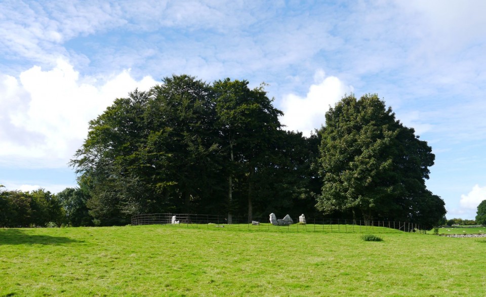 Glebe (Stone Circle) by Meic