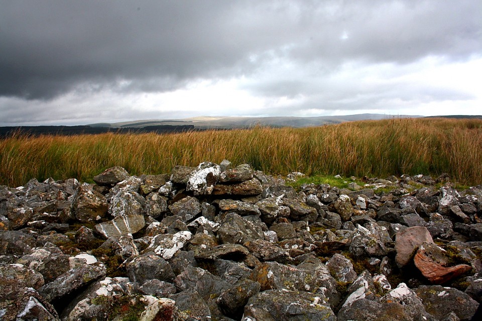 Esgair Garn, Llanddewi Abergwesyn (Round Cairn) by GLADMAN