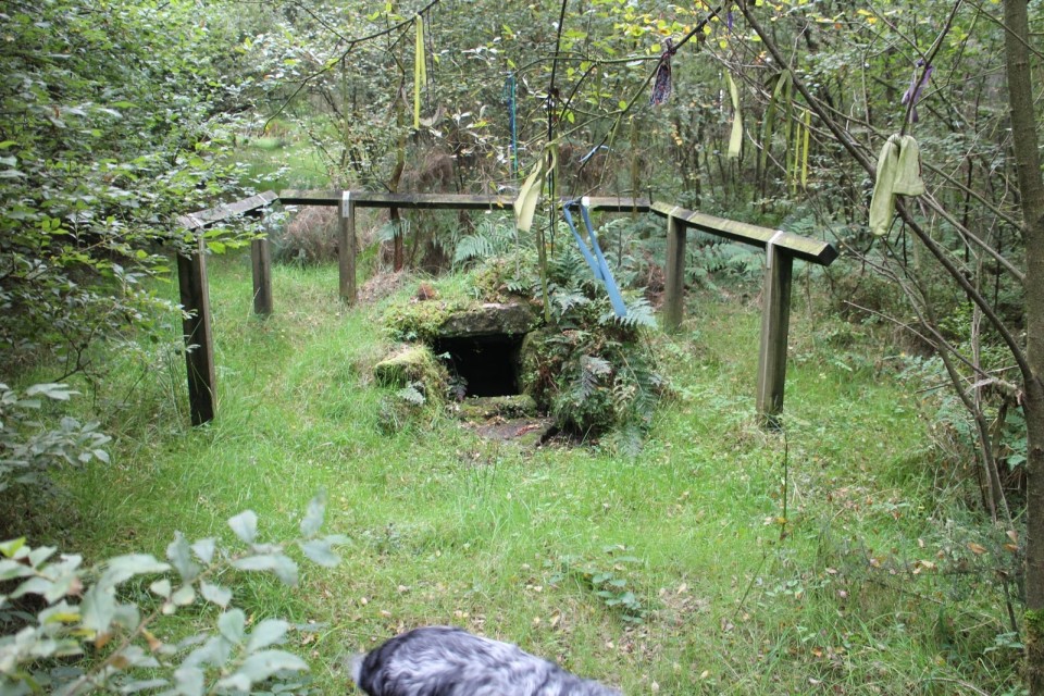 The Old Wife's Well (Sacred Well) by moss