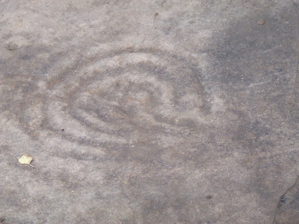 The Cochno Stone (Cup and Ring Marks / Rock Art) by Howburn Digger