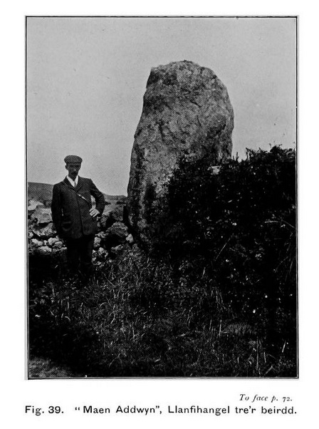 Maenaddwyn (Standing Stone / Menhir) by Rhiannon