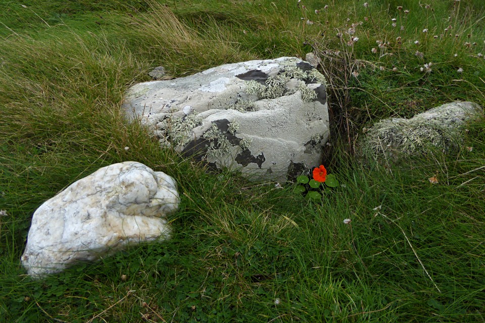Mynydd Bach (Aberffraw) (Round Cairn) by thesweetcheat