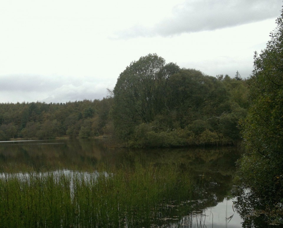 Whitefield Loch (Crannog) by spencer