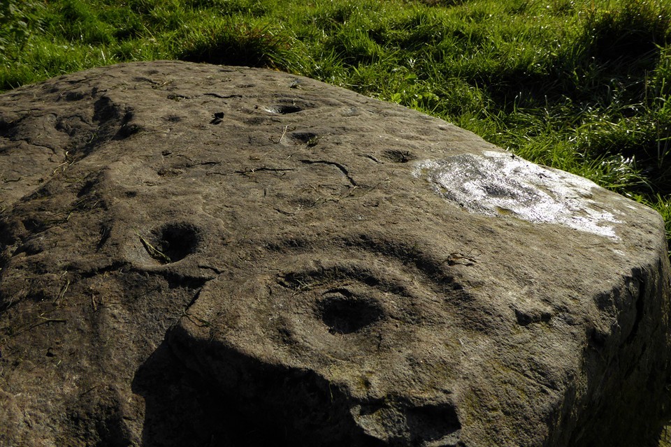 Monzie Rock Art (Cup and Ring Marks / Rock Art) by thesweetcheat