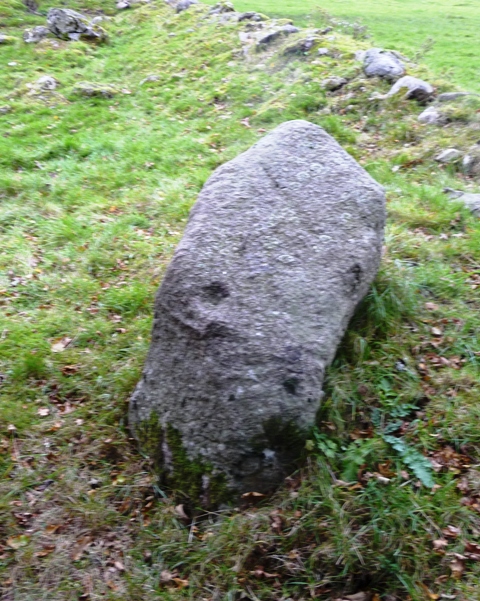 Garlogie Woods (Cup Marked Stone) by drewbhoy