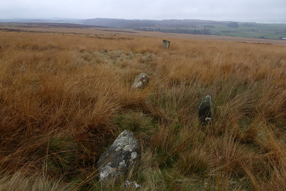 Gibbet Moor North (Stone Circle) by thesweetcheat