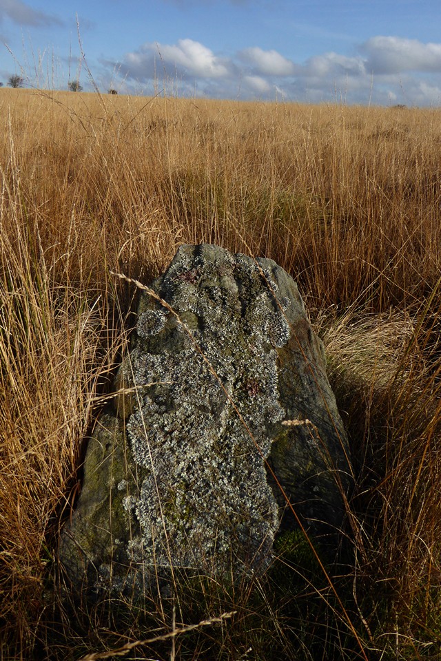 Barbrook III (Stone Circle) by thesweetcheat