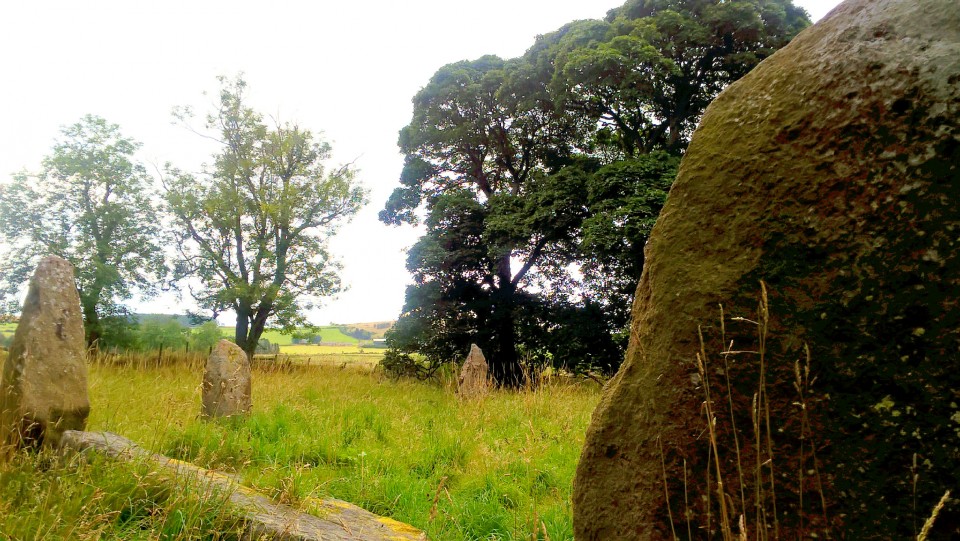 Sunhoney (Stone Circle) by carol27