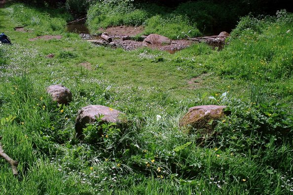 Abernethy Den (Stone Circle) by nickbrand