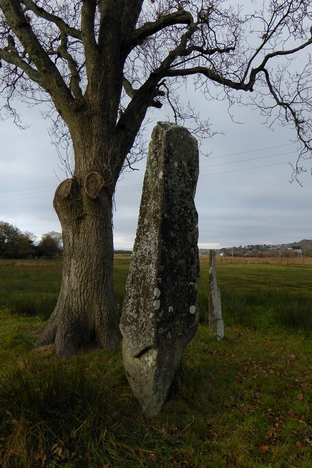 Llanbedr Stones (Standing Stones) by thesweetcheat