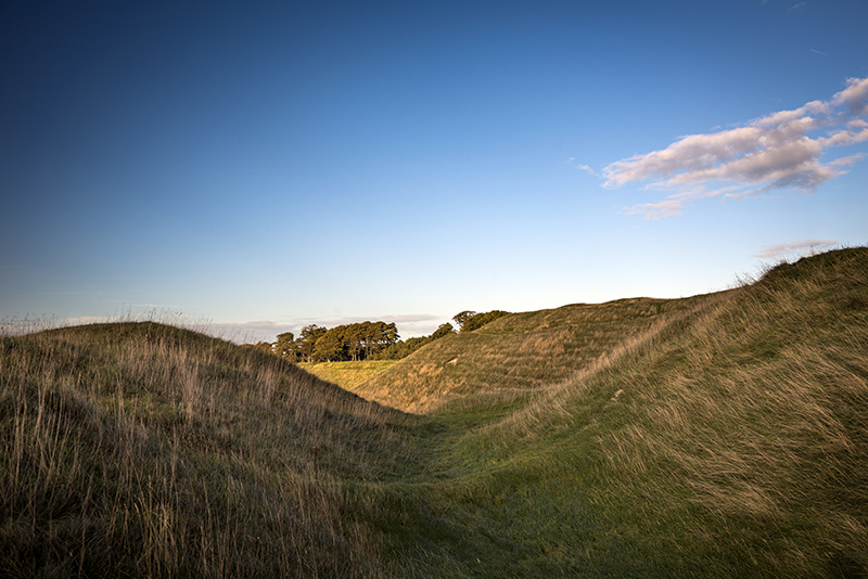 Cherhill Down and Oldbury (Hillfort) by A R Cane