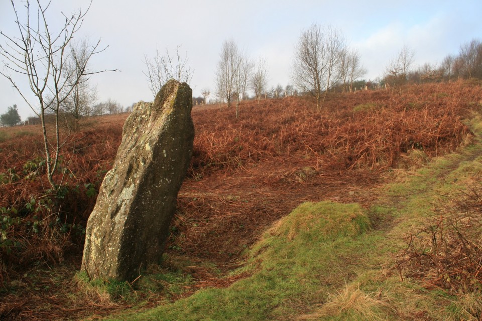 Gray Hill (Stone Circle) by postman
