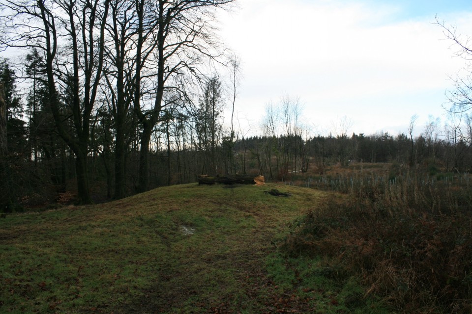 Wentwood Barrows (Round Barrow(s)) by postman