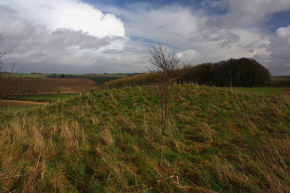Aldbourne (west of Giant's Grave) (Round Barrow(s)) by GLADMAN