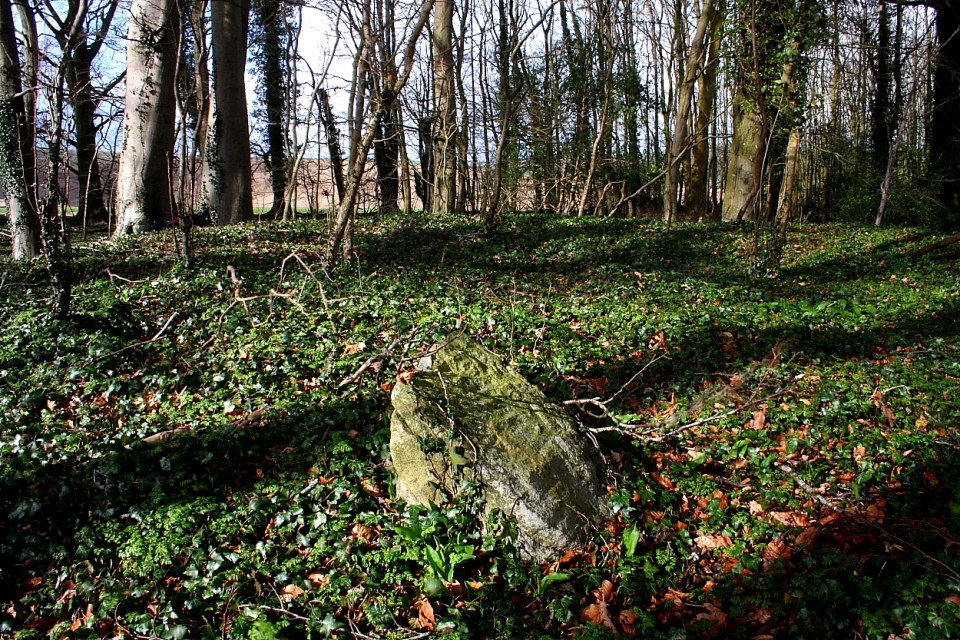 The Giant's Grave (Aldbourne) (Round Barrow(s)) by GLADMAN