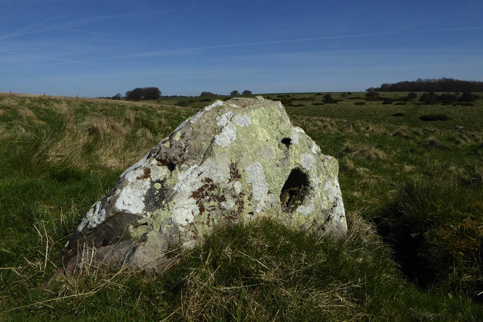 Fyfield Down (Natural Rock Feature) by thesweetcheat