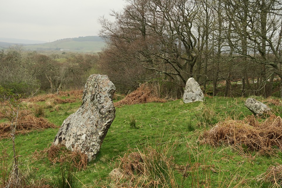 Aberscross (Stone Circle) by thelonious