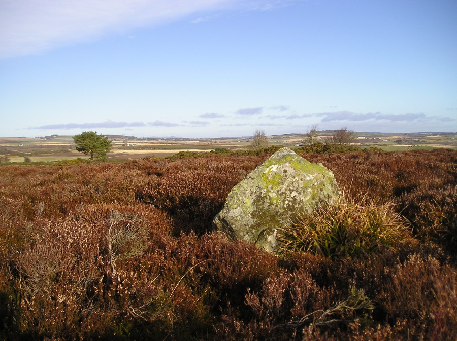 Kempstone Hill (Standing Stones) by tiompan