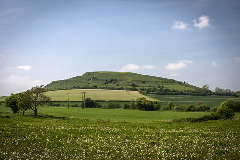Cley Hill (Hillfort) by A R Cane