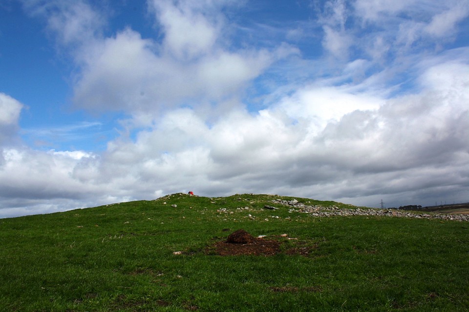 Carn Glas, Achvraid (Chambered Cairn) by GLADMAN