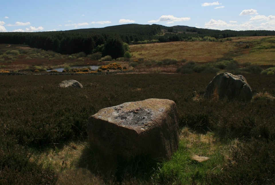 Whinny Hill (Stone Circle) by postman