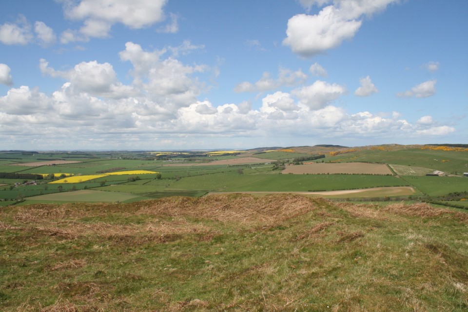 Chatton Camp (Hillfort) by postman