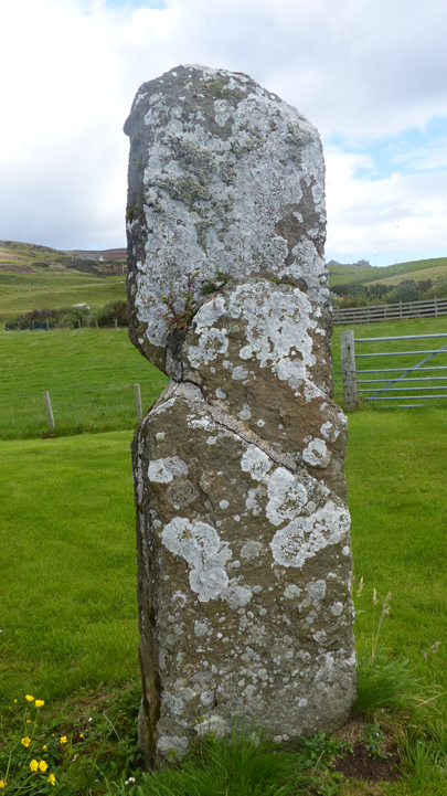 Long Stone (Standing Stone / Menhir) by wideford