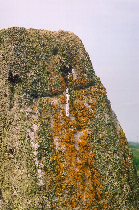 Longstone (East Worlington) (Standing Stone / Menhir) by jimit