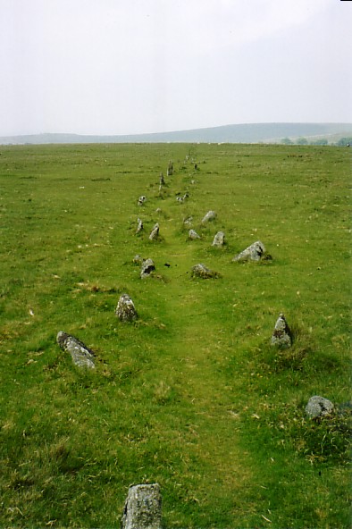 The Plague Market At Merrivale (Multiple Stone Rows / Avenue) by charlotte