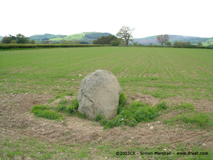 Hindwell Stone (Standing Stone / Menhir) by Kammer