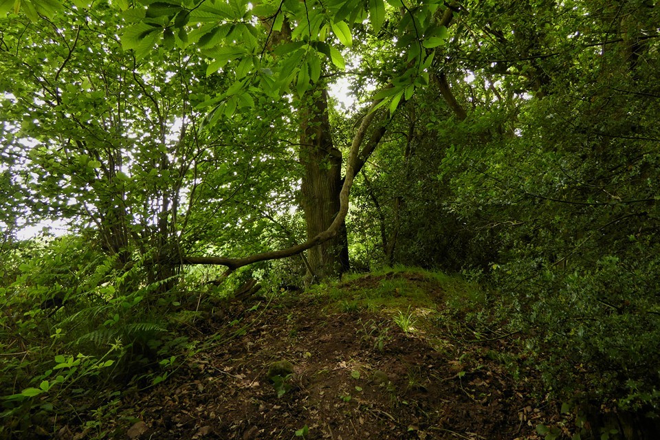 Chase Wood Hill (Hillfort) by thesweetcheat