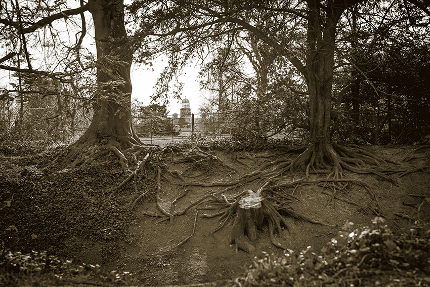 Wandlebury (Hillfort) by A R Cane