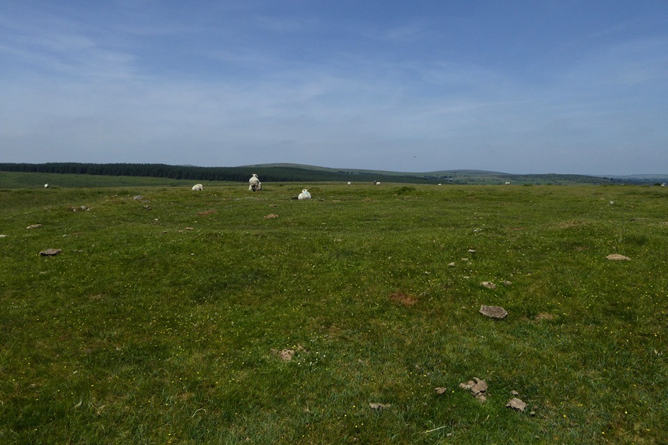 East Moor Ring Cairn (Ring Cairn) by thesweetcheat