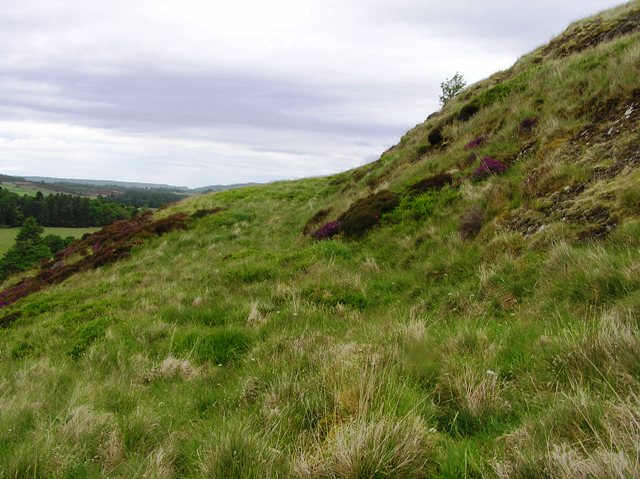 Creagan an Tuirc (Hillfort) by drewbhoy