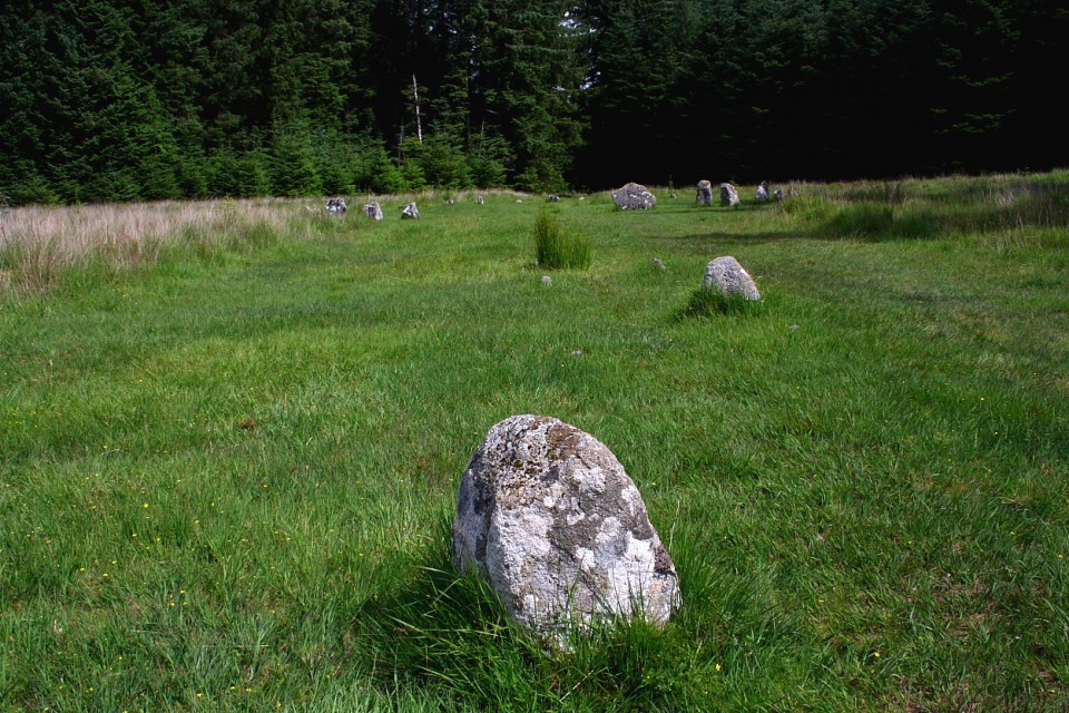 Fernworthy Stone Row (South) (Stone Row / Alignment) by GLADMAN