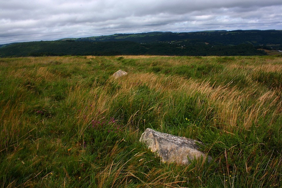 Black Hill (Stone Row / Alignment) by GLADMAN