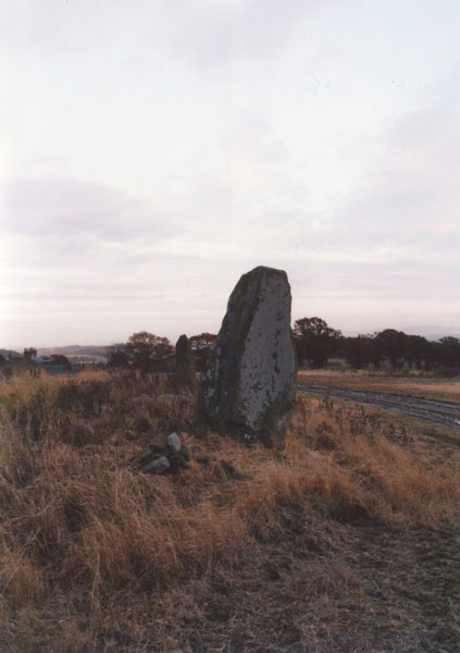 East Cult Standing Stones (Stone Row / Alignment) by BigSweetie