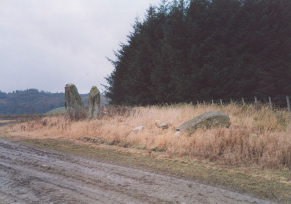 East Cult Standing Stones (Stone Row / Alignment) by BigSweetie