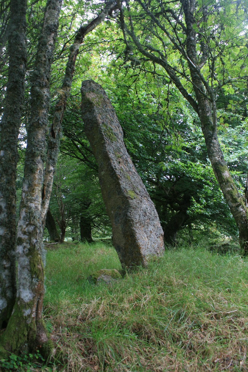 Midmar Kirk (Stone Circle) by postman