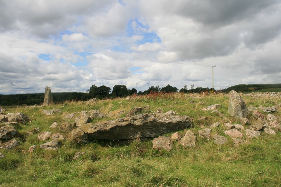 Old Bourtreebush (Stone Circle) by postman