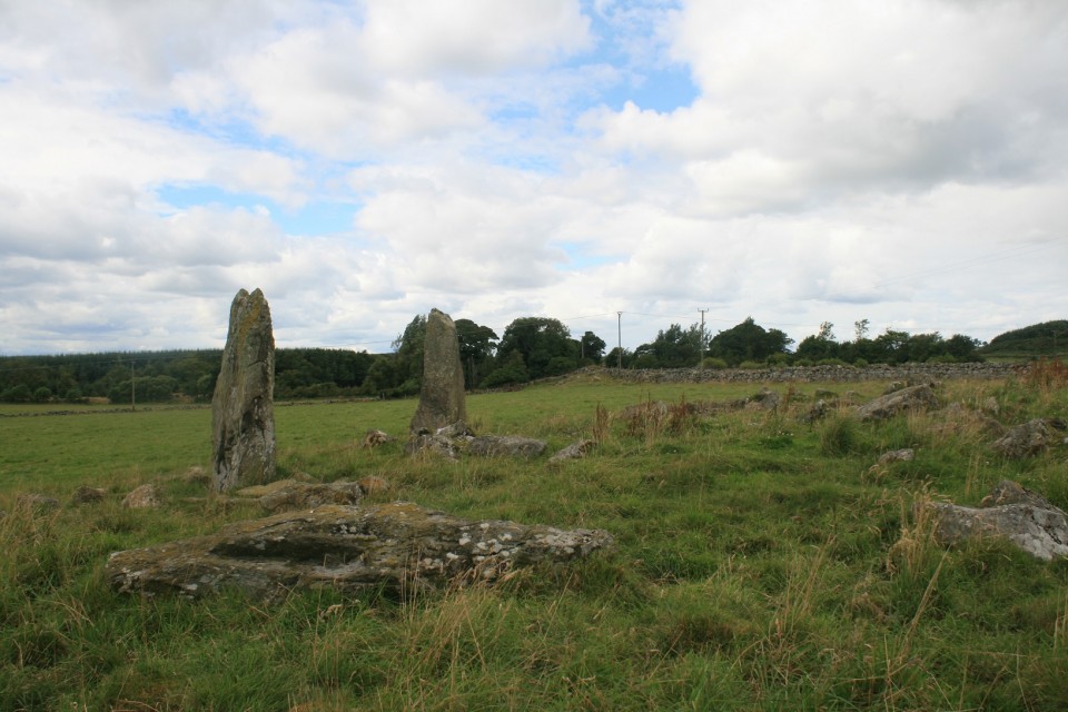 Old Bourtreebush (Stone Circle) by postman