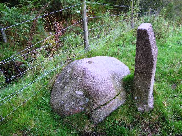 Tulloch Boundary Marker 33 (Cup and Ring Marks / Rock Art) by drewbhoy
