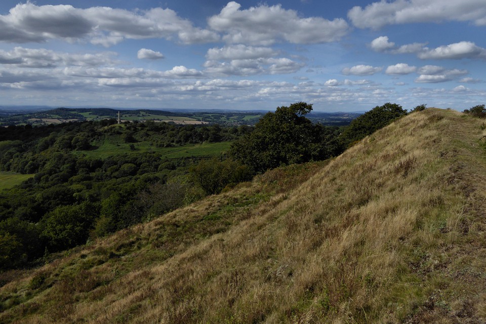 Midsummer Hill (Hillfort) by thesweetcheat