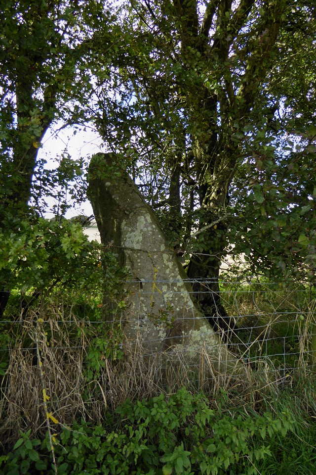 Down Barn standing stones (Standing Stones) by thesweetcheat