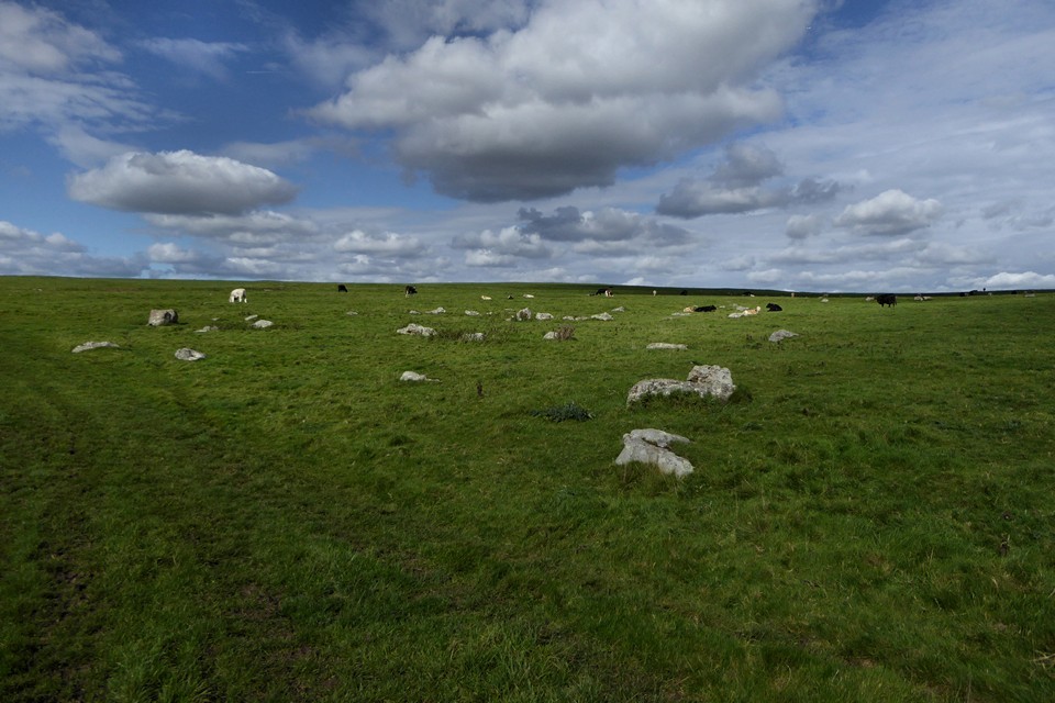 Pickledean Stone Circle (Stone Circle) by thesweetcheat