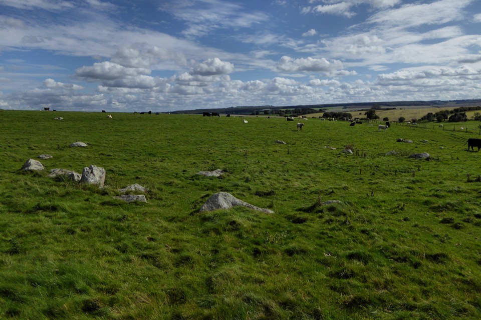 Pickledean Stone Circle (Stone Circle) by thesweetcheat