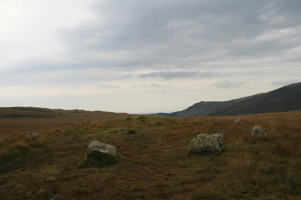 White Moss (Stone Circle) by postman