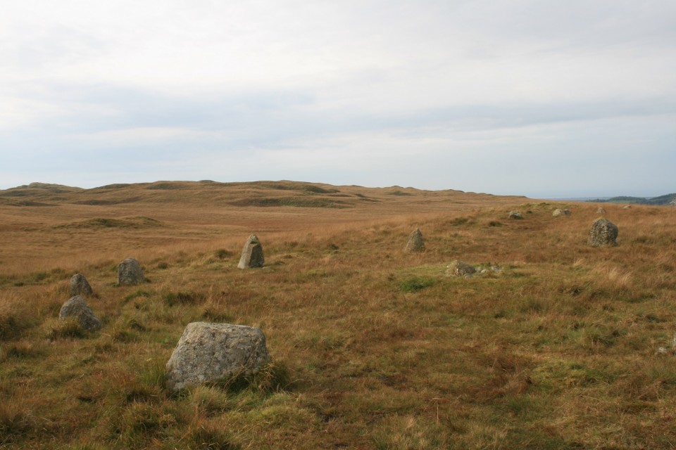 White Moss (Stone Circle) by postman