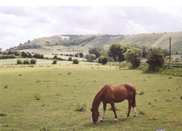 Bratton Castle & Westbury White Horse (Hillfort) by Rhiannon